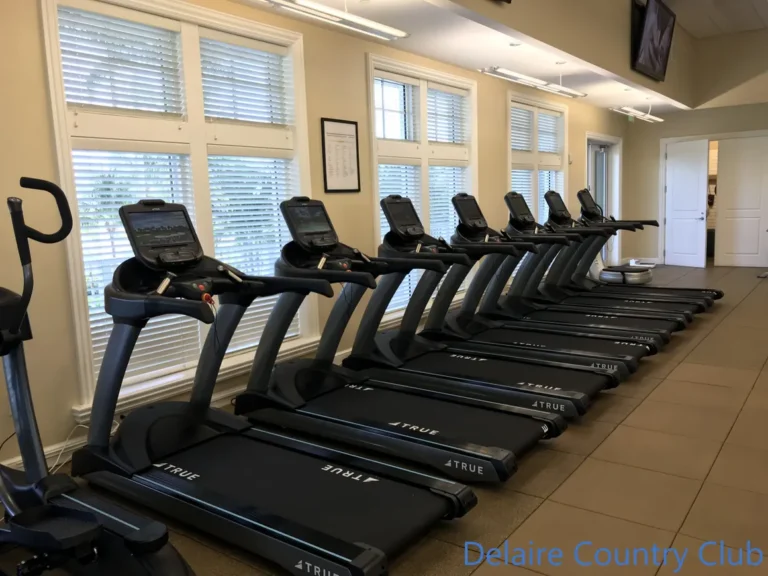 A row of treadmills in a gym with windows.