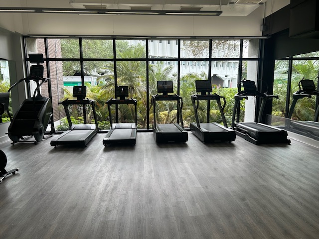 Empty gym with treadmills near large windows.