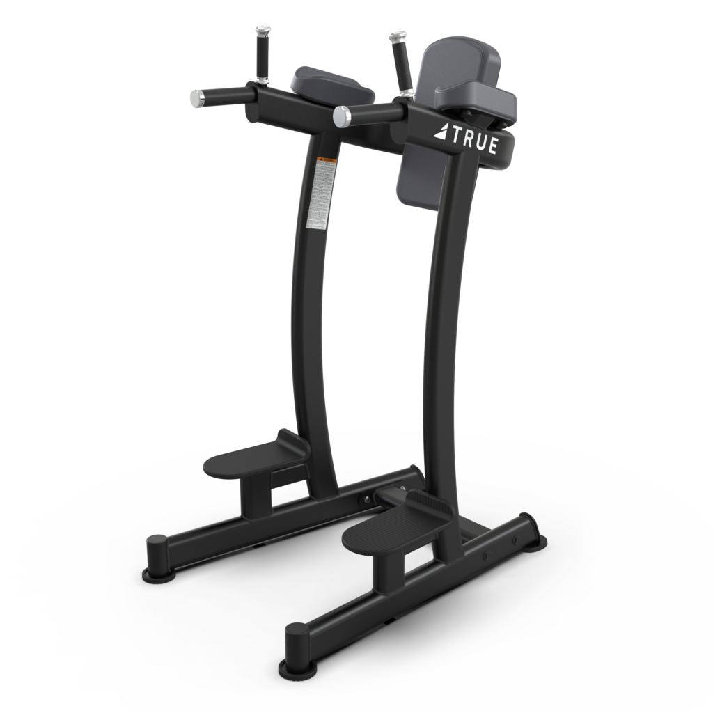 Gym equipment, vertical knee raise machine.